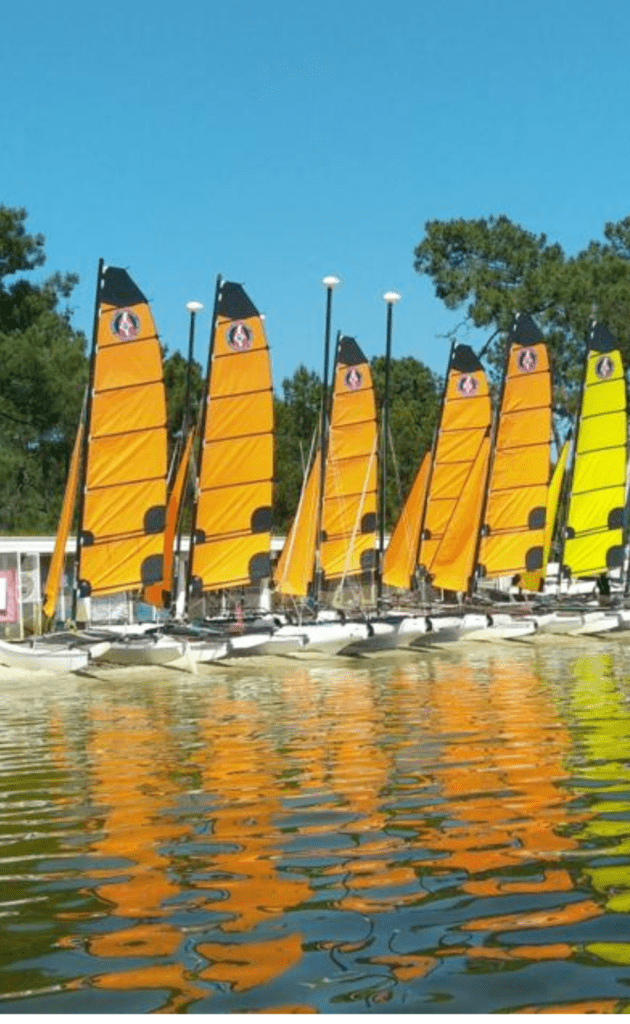 cvbcm voile 2026 2